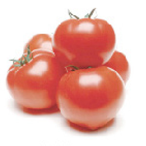 トマト各種